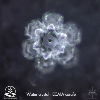 Preview: ECAIA carafe